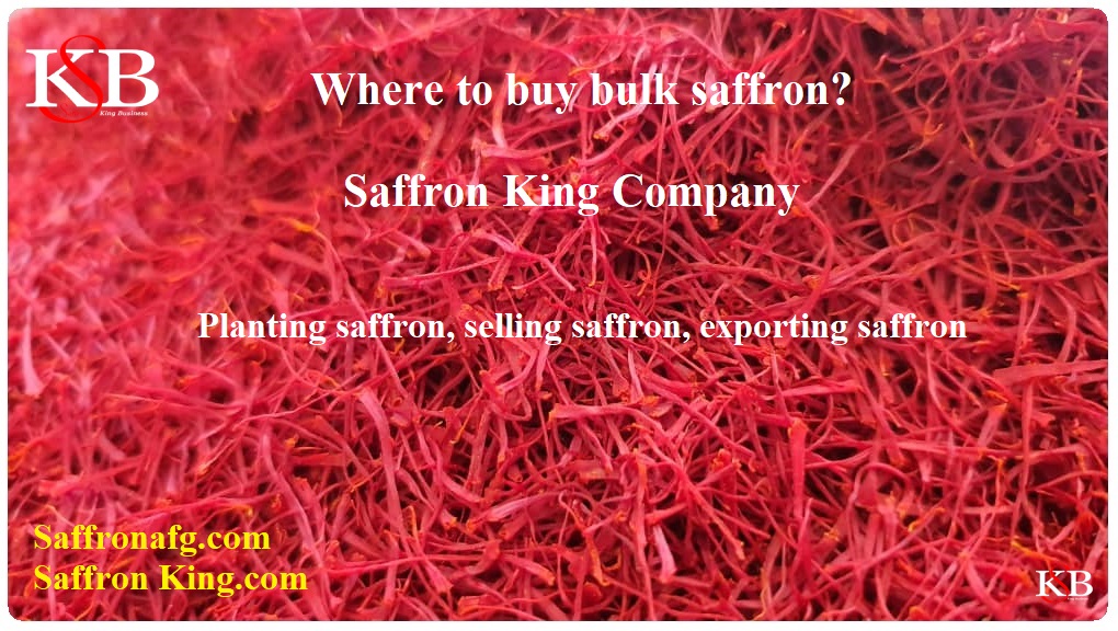 Where to buy bulk saffron? Pure saffron