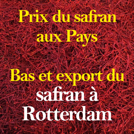 Prix ​​du safran aux Pays-Bas et export du safran à Rotterdam